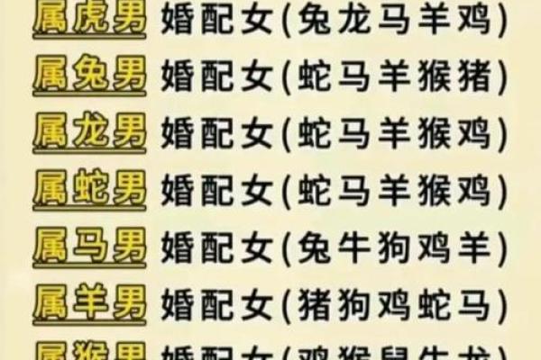 婚姻配对属蛇和属猪相克怎么办