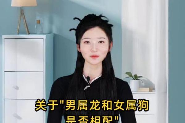 属龙的生肖配对