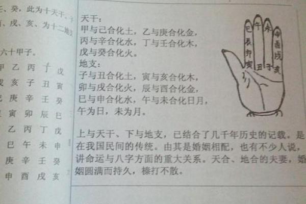 精选四柱八字断职业，性格，学业，婚姻口诀