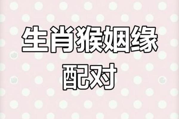 属猴和什么属相最配对 属猴和什么属相相冲