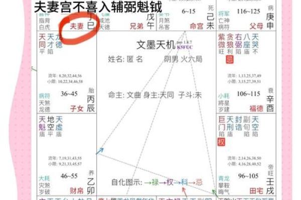 紫微斗数左辅 紫微斗数左辅右弼在夫妻宫？