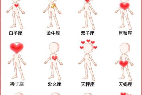 十二星座里边有哪些