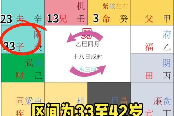 紫薇斗数排盘科权是什么意思