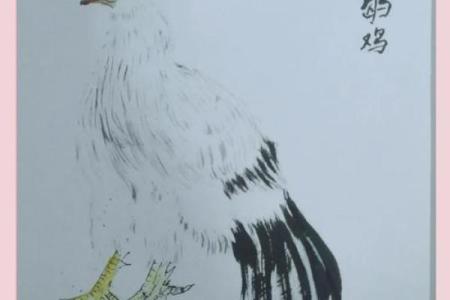 孔雀寓意风水吗