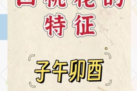 【婚后八字桃花】婚姻会幸福吗？从命盘看桃花运走向！