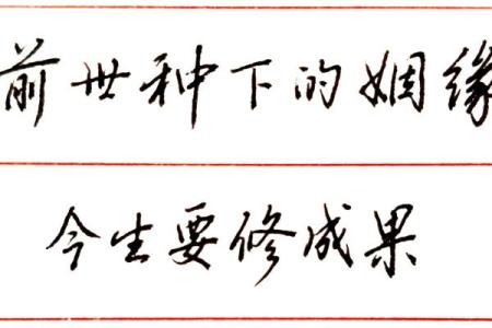 前世姻缘配对 前世姻缘分排定？