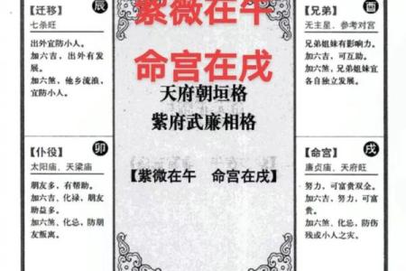 唐艺尹老师：紫薇斗数主星解释