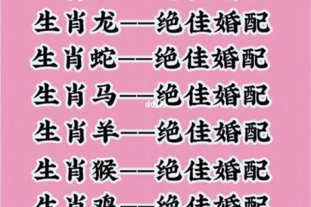 姓名配对占卜问题 姓名配对预测？