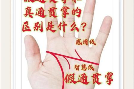 风水观点女子右手假断掌手相解析