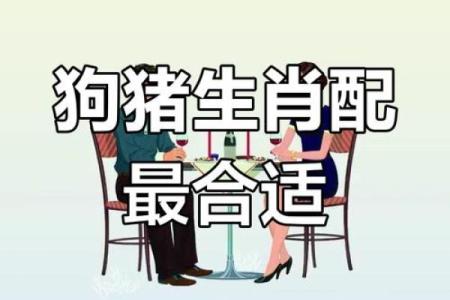 属相猪的性格特点及其与其他属相的配对