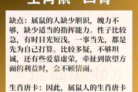 属鼠是哪一年出生的 属鼠的男孩出生吉日
