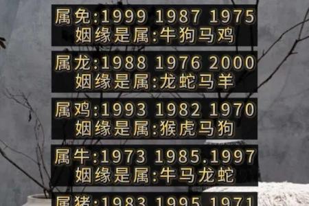 免费姓名配对测姻缘免费测试,免费测姻缘