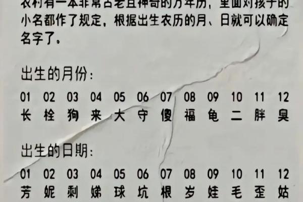 黄历中冲狗是什么意思  日历中冲狗是什么意思