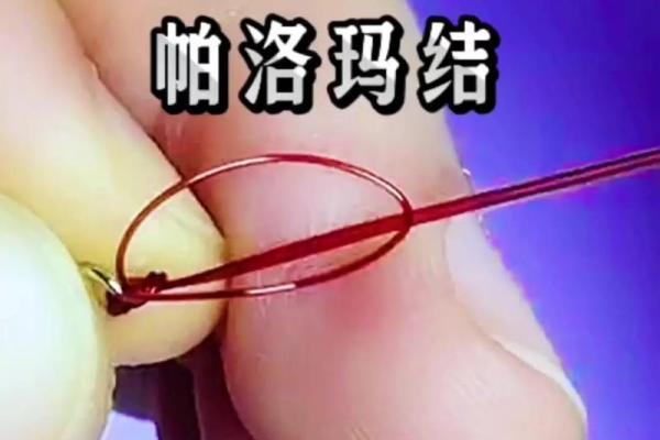 八字环打结