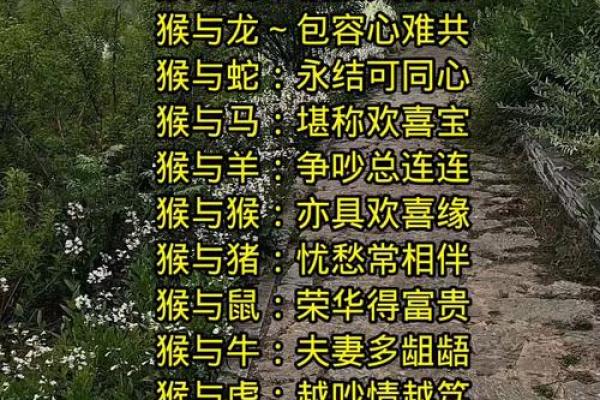 蛇男和猴女到底好不好 蛇男和猴女配对适不适合