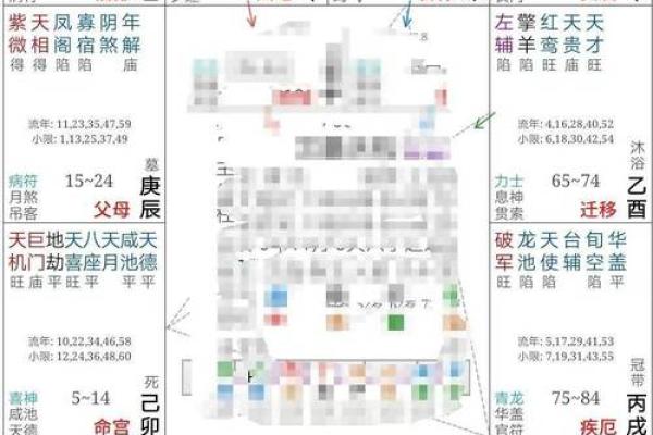 紫微斗数排盘天魁星坐命宫分析,十二宫分析