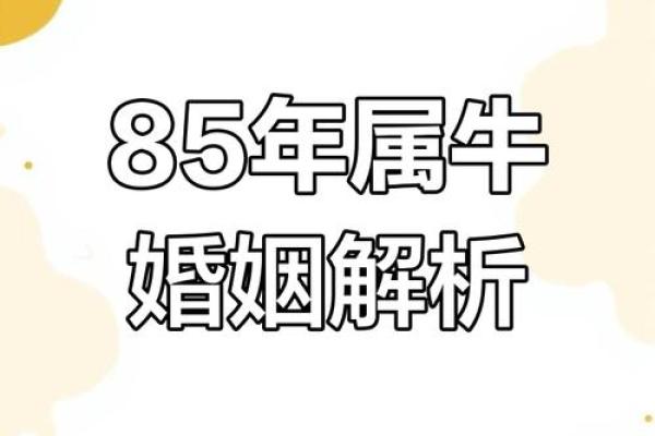 生辰八字牛配对，测算你们的最佳婚姻组合
