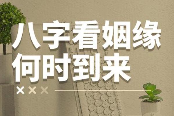 注定结婚的命理八字是什么