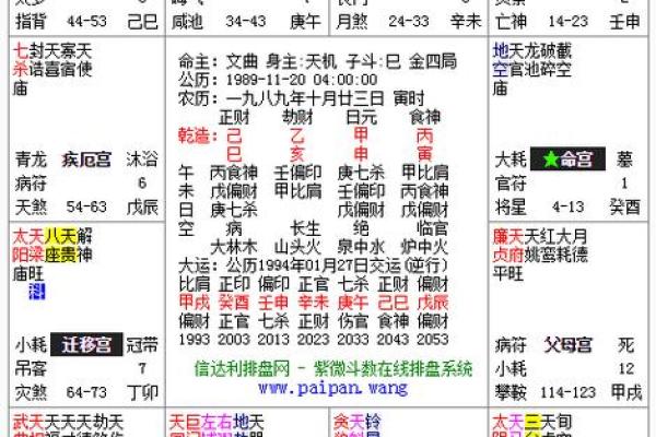 中华紫薇斗数在线排盘