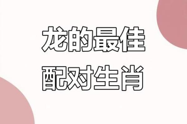 龙和老鼠属相合不合 龙和老鼠配对如何