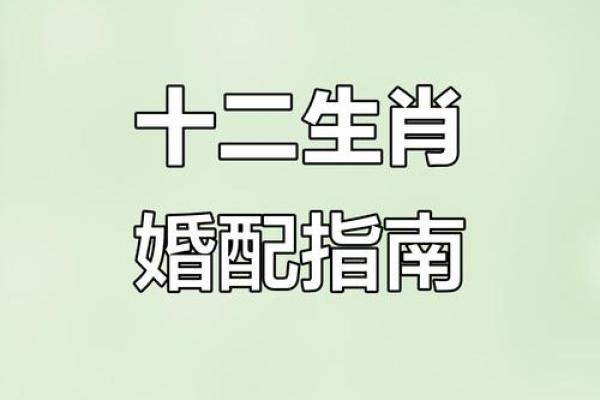 老虎生肖配对大揭秘，你知道哪些？