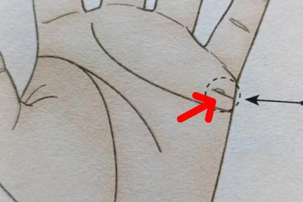 王成龙八字详批：命运早知道，事业财运健康，婚姻家庭全解析