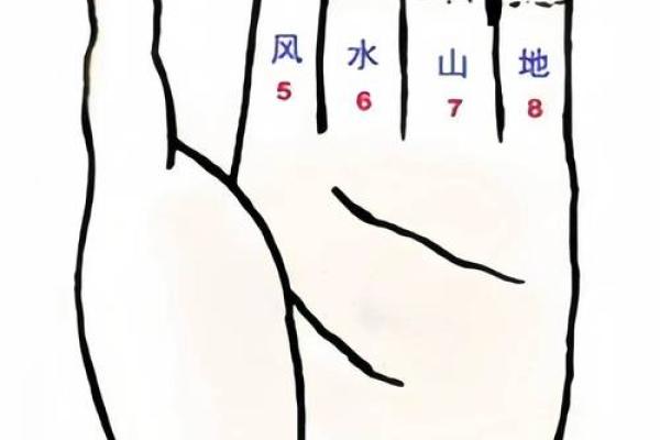 用梅花易数怎么算命