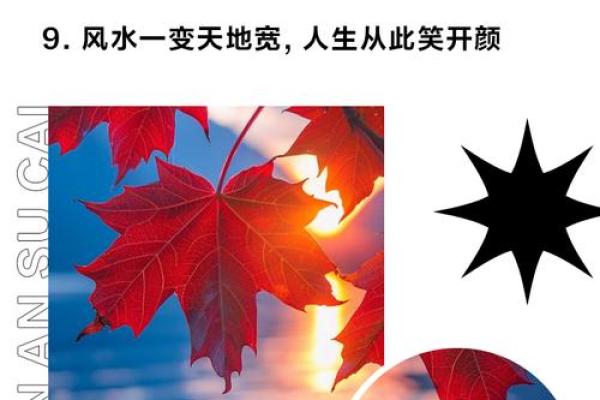 利用风水学理念为家居命名为你的家带来好运