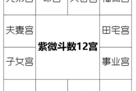 紫微斗数司法 紫微斗数怎么看官司？