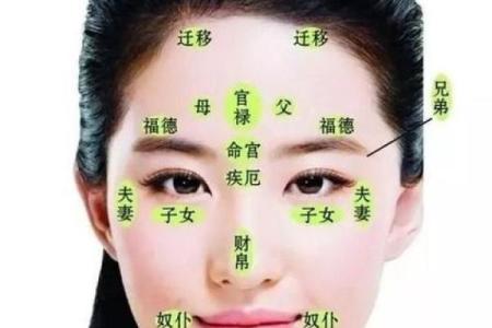面相算命入门：三停，什么是三停？