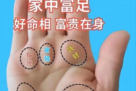 男士手相算命