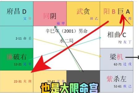 紫薇斗数的命盘如何抑