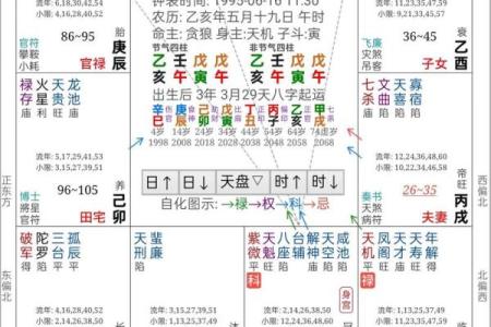 紫薇斗数测试APP