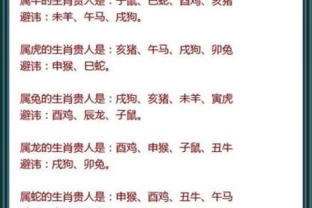 生肖和血型完美匹配你是哪种组合