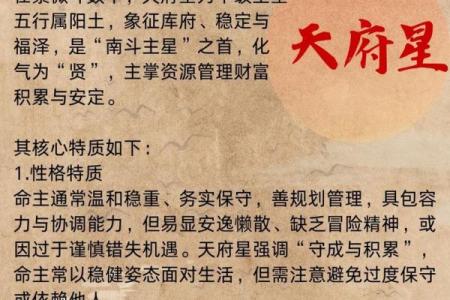 紫微斗数之兄弟宫与诸星,天府星在兄弟宫是什么意思？