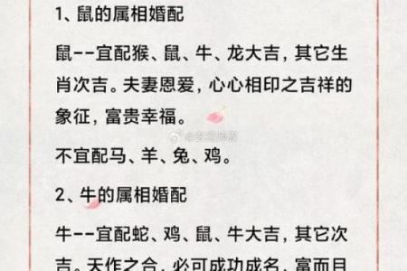 牛的配对属相婚配表