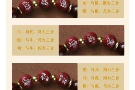 龙和老鼠属相合不合 龙和老鼠配对如何