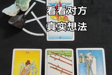 塔罗测试：二月事业运？