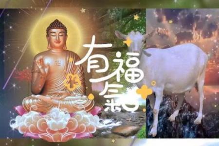 91年属什么生肖配对