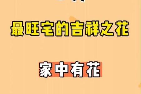 需重视风水十大吉祥花忌讳禁忌