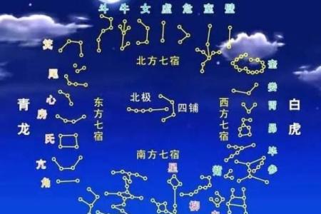 紫薇斗数盘每排文字代表什么