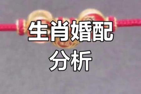 羊跟什么生肖配对最好 生肖羊最佳配对