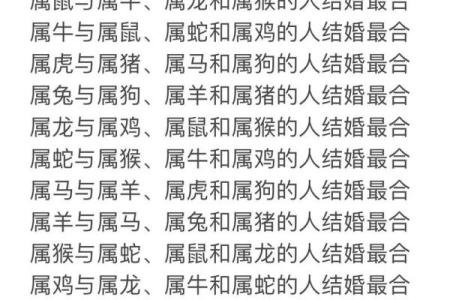 属猪的婚姻配对最佳 属猪的婚配宜忌