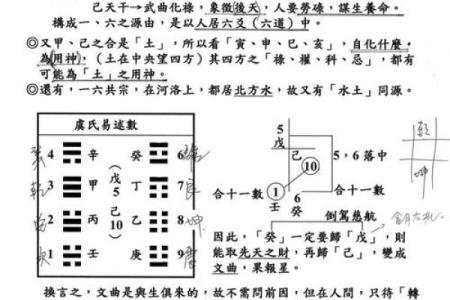 紫薇斗数案例书籍