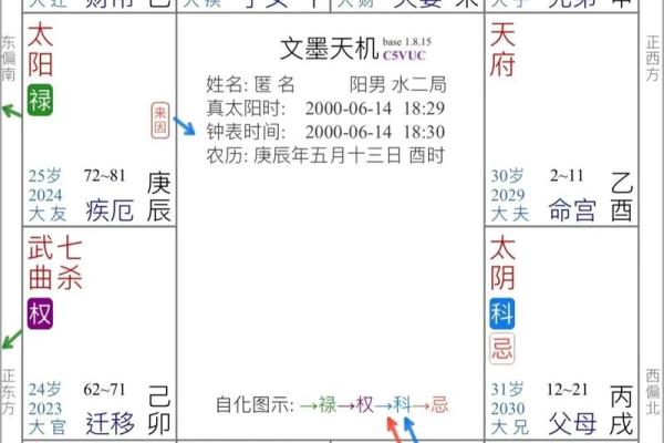 紫微斗数飞星看姻缘 紫微斗数飞星什么意思？