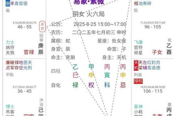 紫薇斗数命盘怎么看子女宫