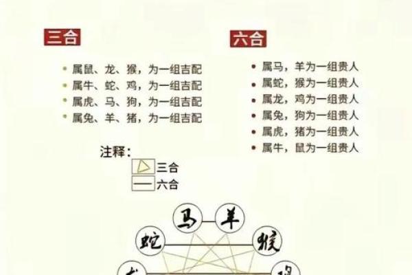 91年属什么生肖多大 婚配表 配对 什么命