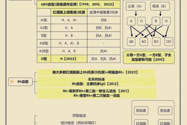b十血型的优缺点