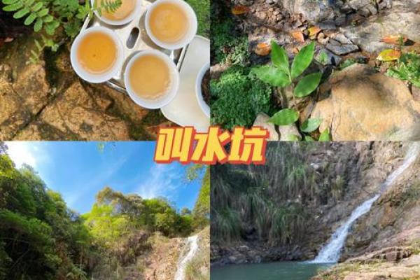 水坑上盖房子风水好吗