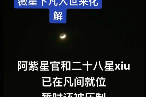科技紫薇星星座,紫微星是哪个星座